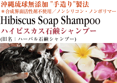 ���w���������s�g�p�^Herbal Soap Shampoo�^�v���g���Ό��V�����v�[